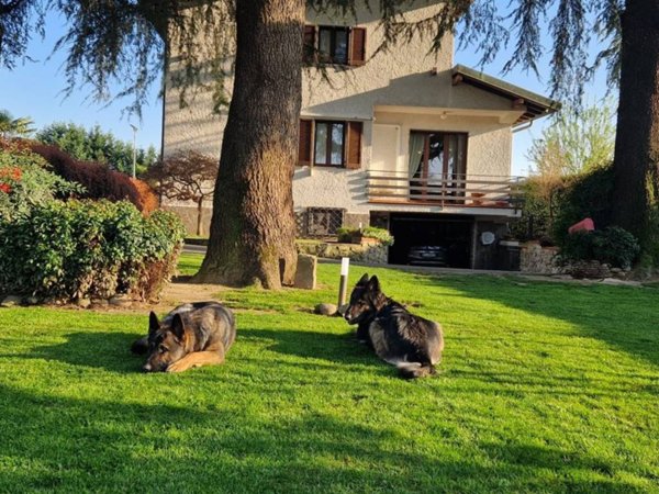 casa indipendente in vendita a Castano Primo