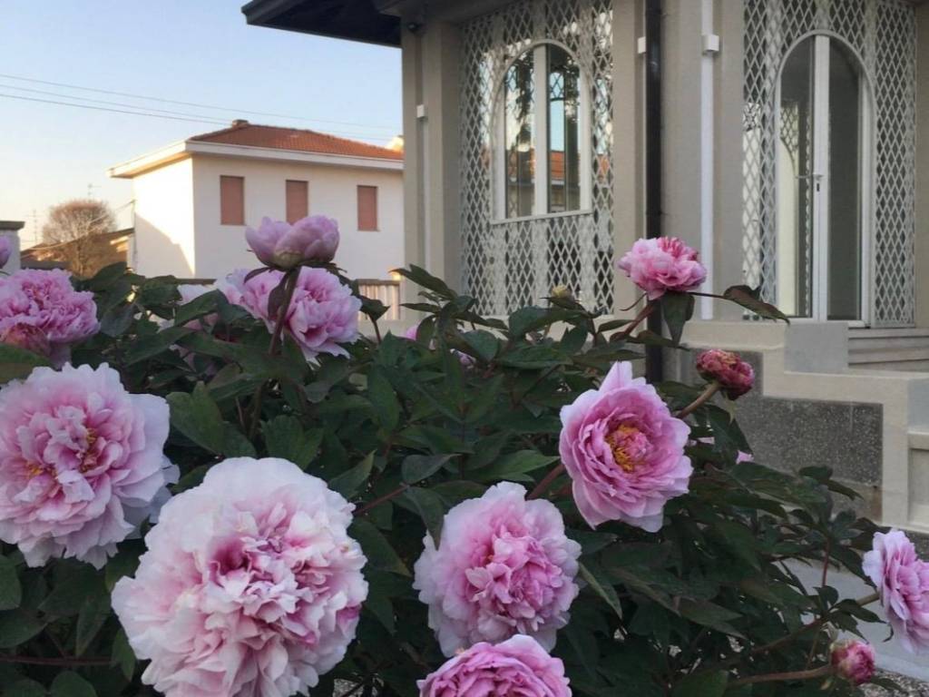 casa indipendente in vendita a Castano Primo