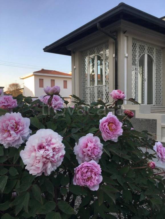 casa indipendente in vendita a Castano Primo