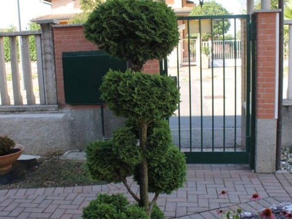 appartamento in vendita a Cernusco sul Naviglio in zona Ronco
