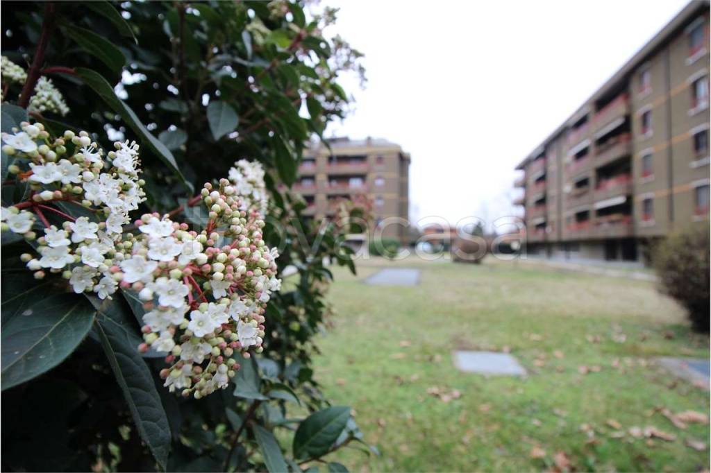 appartamento in vendita a Cernusco sul Naviglio