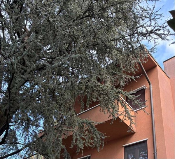 appartamento in vendita a Cernusco sul Naviglio