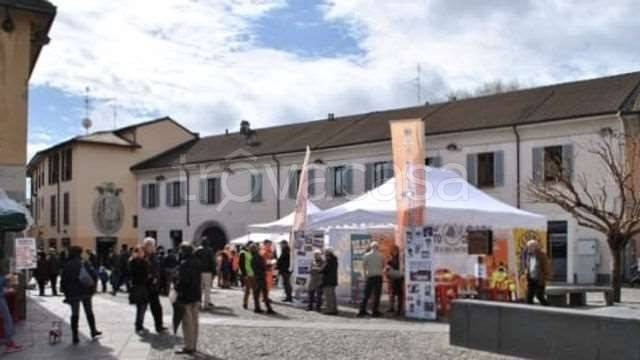 negozio in vendita a Cernusco sul Naviglio