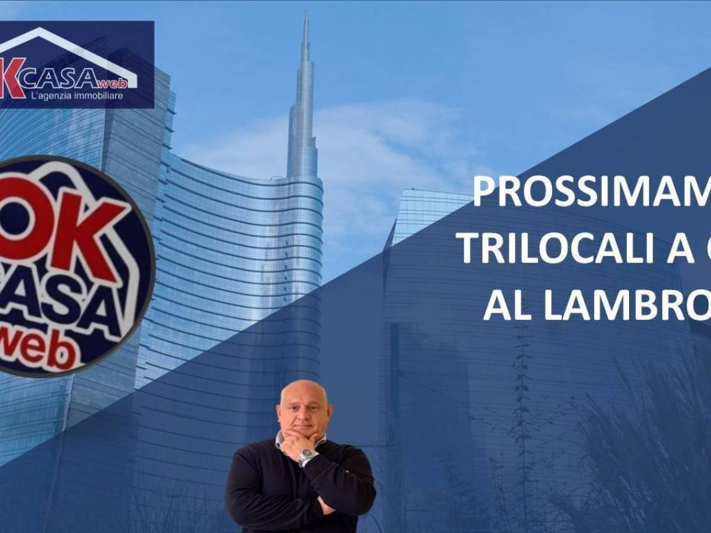 appartamento in vendita a Cerro al Lambro