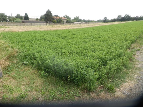 terreno in vendita a Cerro Maggiore in zona Cantalupo