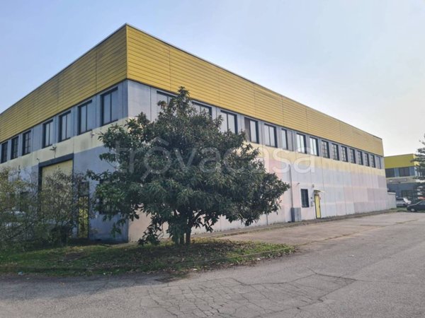 immagine annuncio 0 di 15