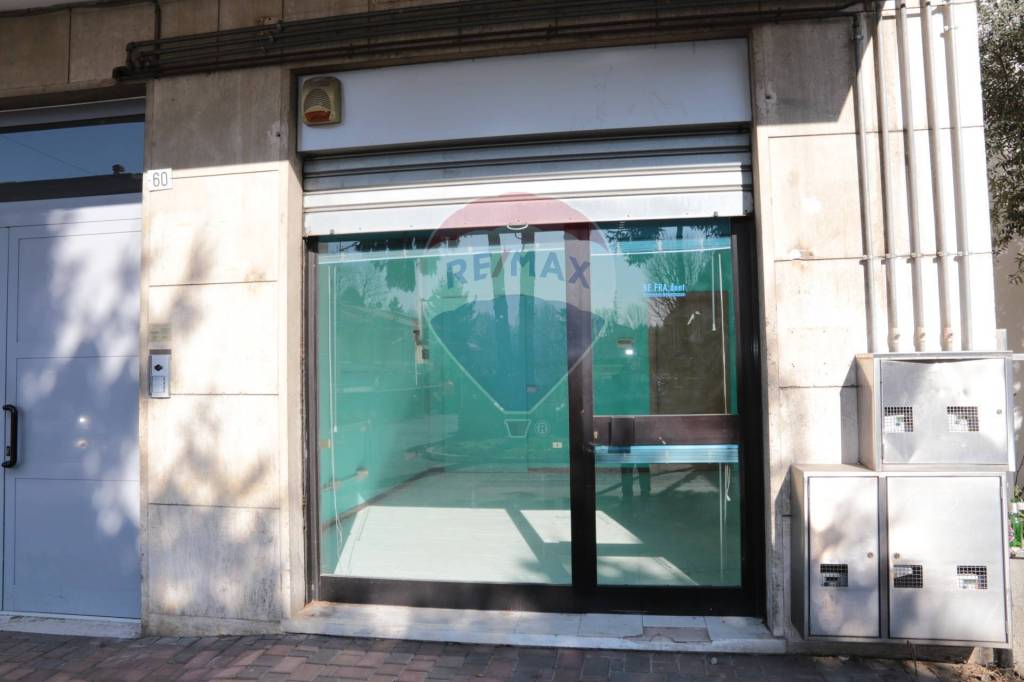 immagine annuncio 0 di 15