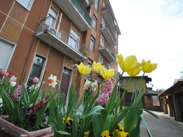 appartamento in vendita a Cesate