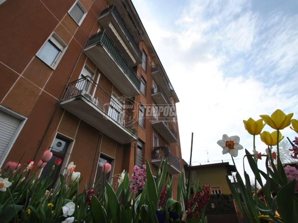 appartamento in vendita a Cesate