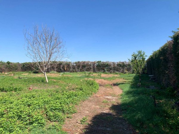 terreno agricolo in vendita a Cesate
