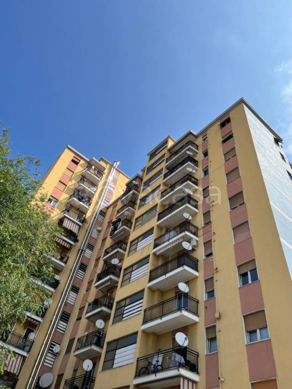 appartamento in vendita a Cinisello Balsamo
