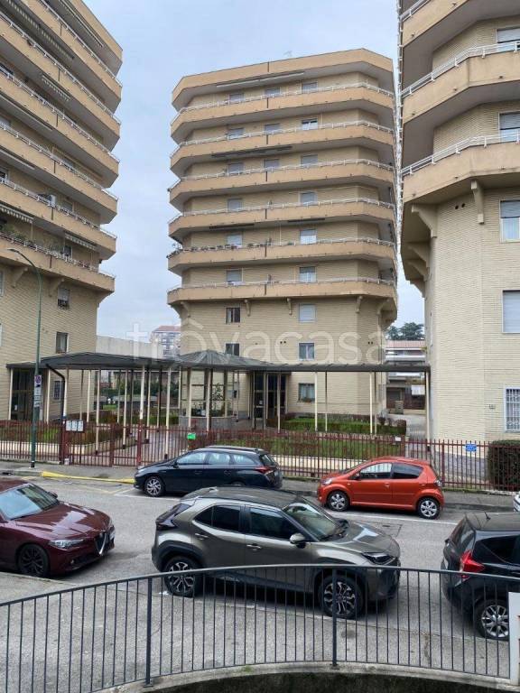 negozio in vendita a Cinisello Balsamo