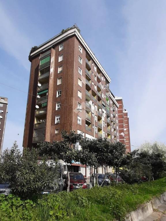 immagine annuncio 0 di 15