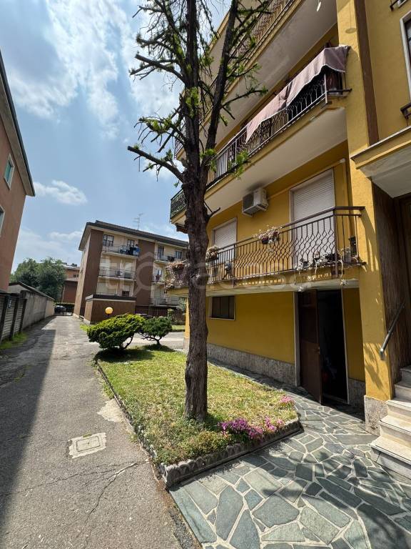 appartamento in vendita a Cinisello Balsamo