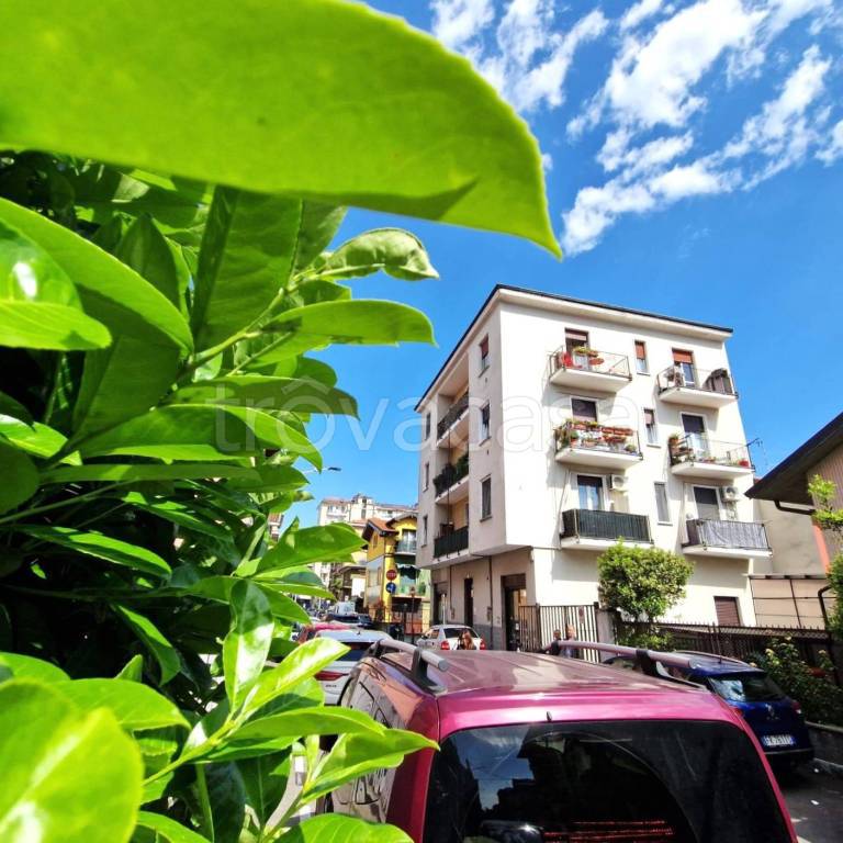 appartamento in vendita a Cinisello Balsamo