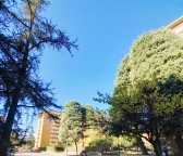 appartamento in vendita a Cinisello Balsamo