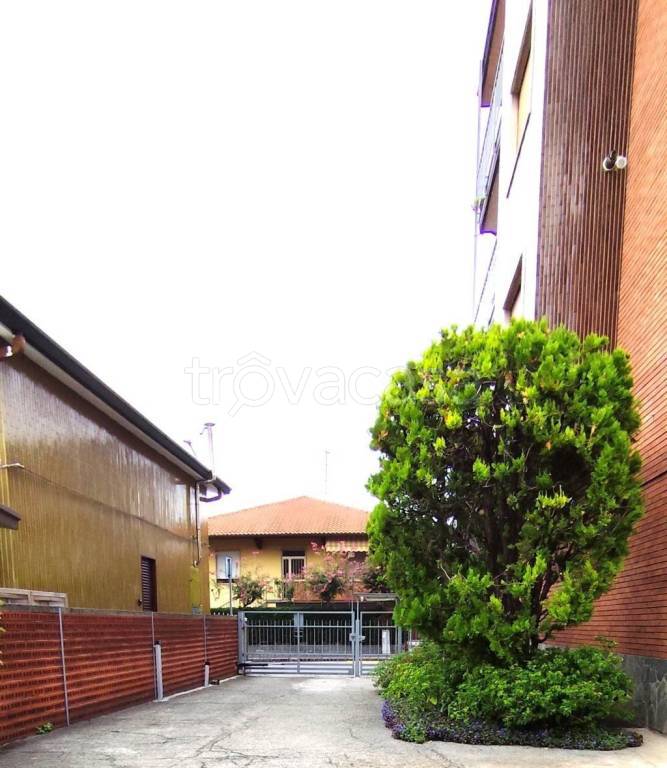 immagine annuncio 0 di 15