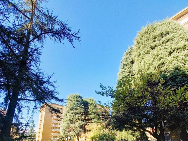 appartamento in vendita a Cinisello Balsamo