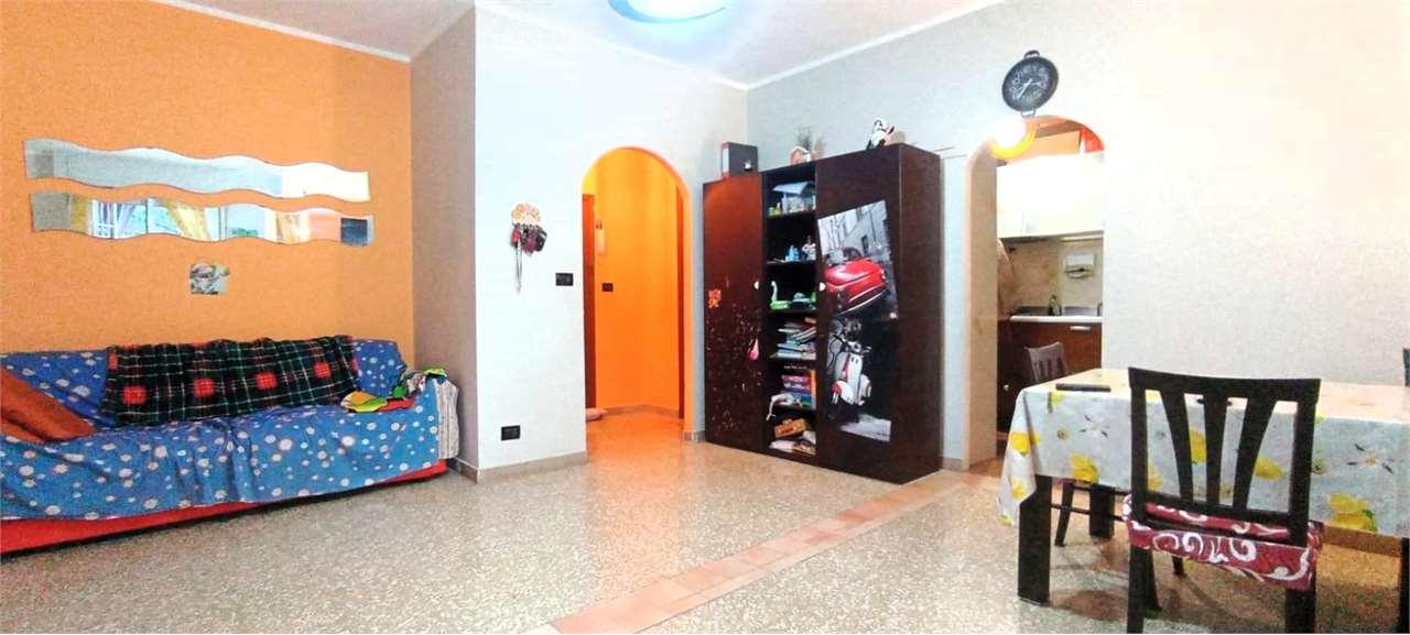 immagine annuncio 0 di 8