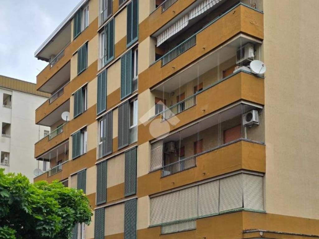 appartamento in vendita a Cinisello Balsamo in zona Robecco