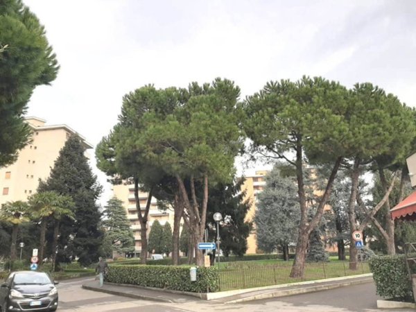 appartamento in vendita a Cinisello Balsamo