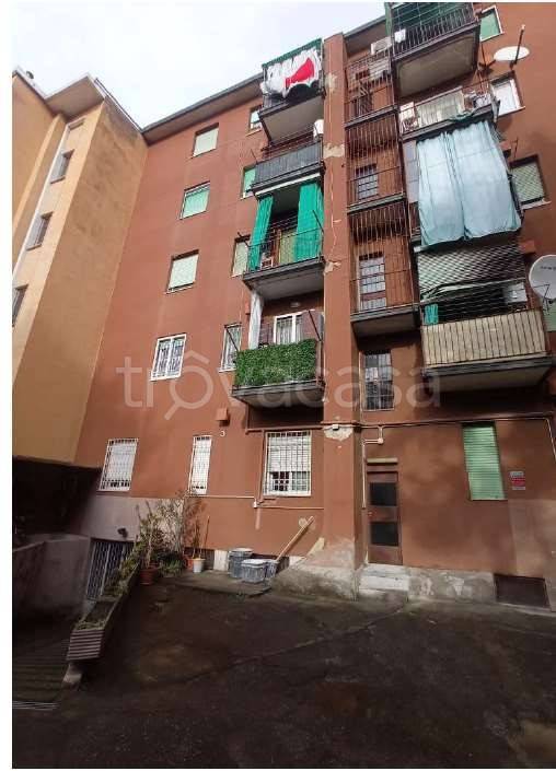 appartamento in vendita a Cinisello Balsamo