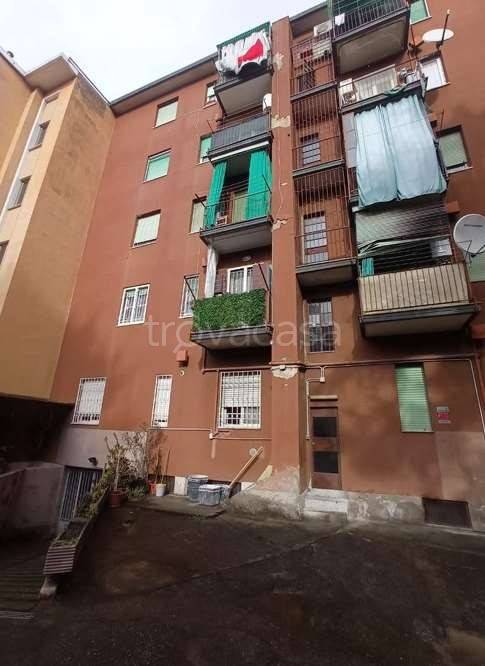 appartamento in vendita a Cinisello Balsamo