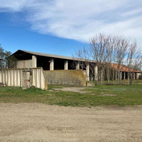 appartamento in vendita a Cologno Monzese