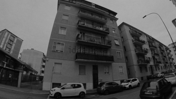 appartamento in vendita a Cologno Monzese