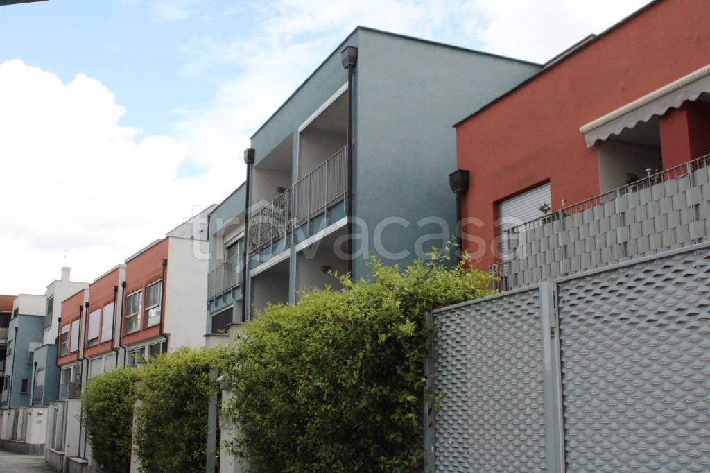 appartamento in vendita a Cologno Monzese