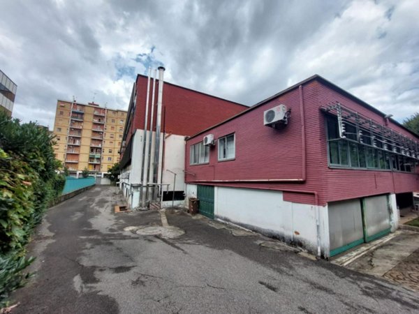 capannone in vendita a Cologno Monzese