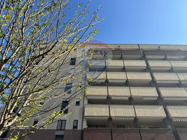 appartamento in vendita a Cologno Monzese