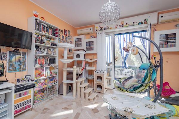 appartamento in vendita a Cologno Monzese