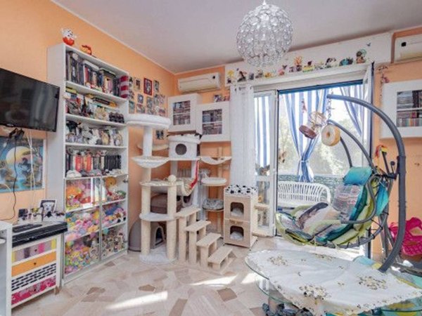 appartamento in vendita a Cologno Monzese