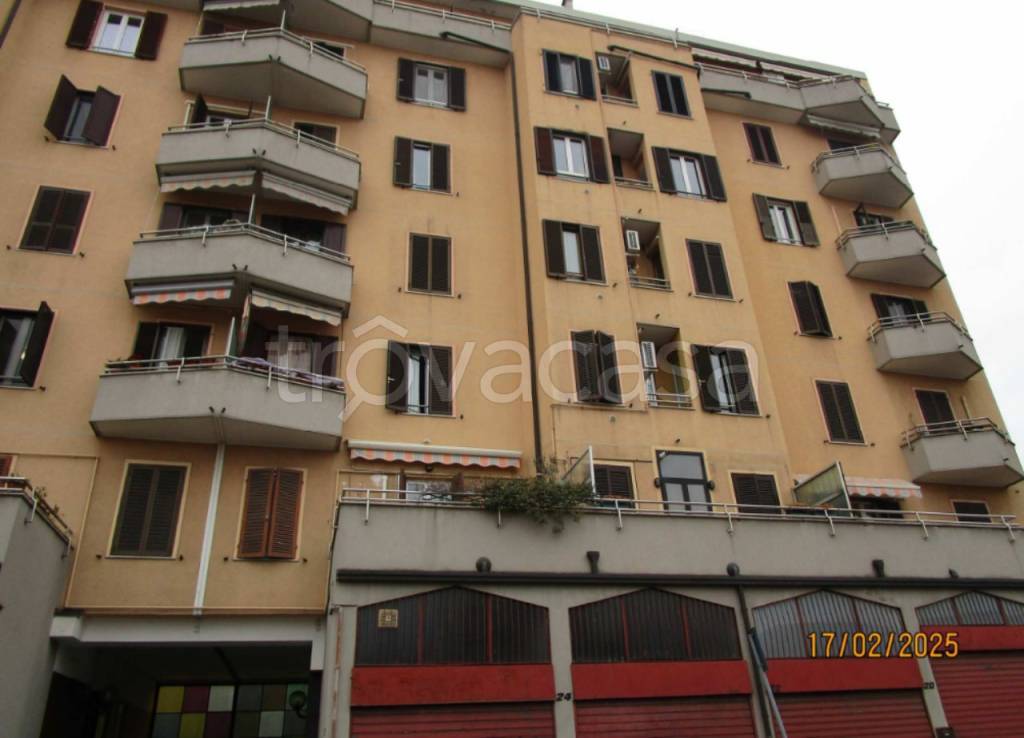 appartamento in vendita a Cologno Monzese