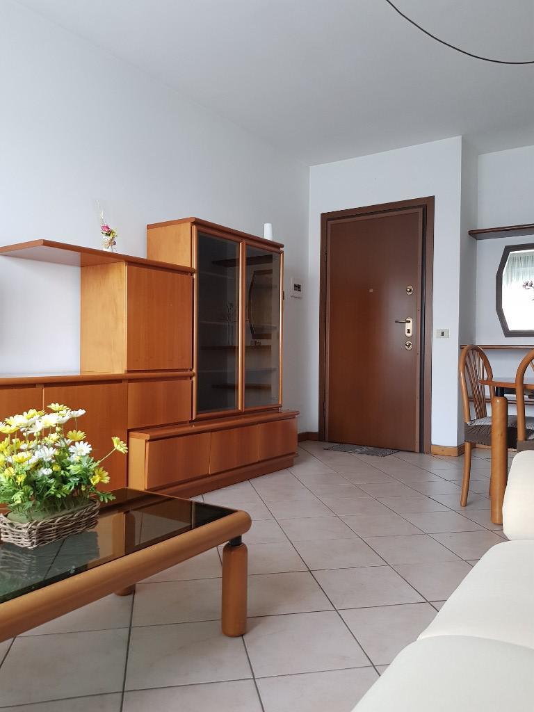 appartamento in vendita a Cologno Monzese