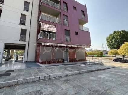 appartamento in vendita a Cologno Monzese in zona San Maurizio al Lambro
