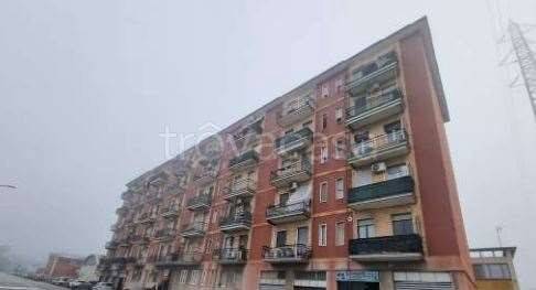appartamento in vendita a Cologno Monzese
