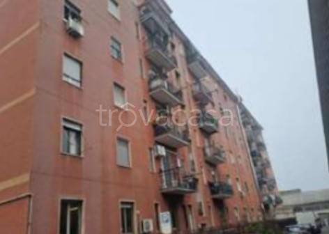 appartamento in vendita a Cologno Monzese