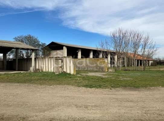 appartamento in vendita a Cologno Monzese