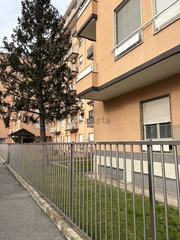appartamento in vendita a Cologno Monzese