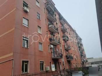 appartamento in vendita a Cologno Monzese