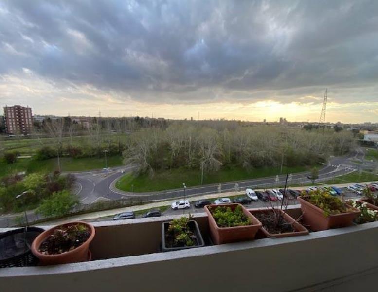appartamento in vendita a Cologno Monzese