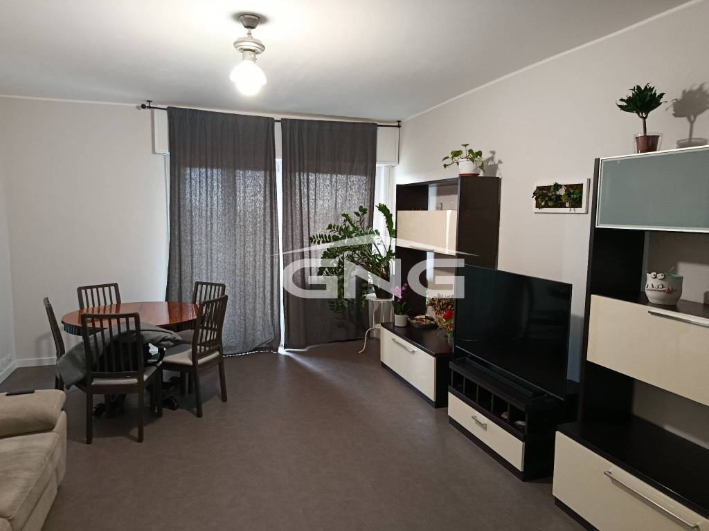 appartamento in vendita a Cologno Monzese