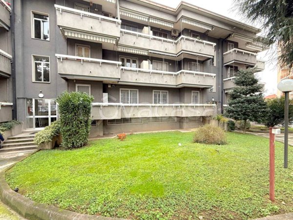 appartamento in vendita a Cologno Monzese