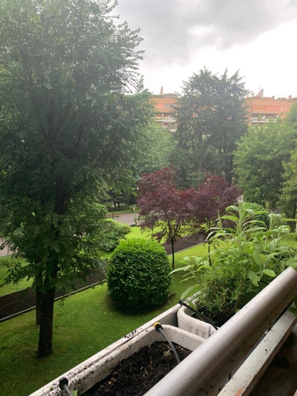 appartamento in vendita a Cologno Monzese