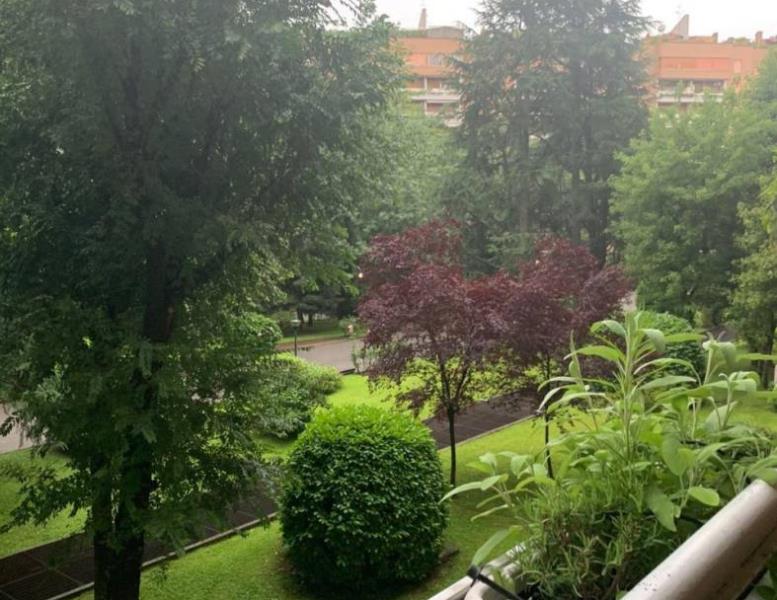 appartamento in vendita a Cologno Monzese