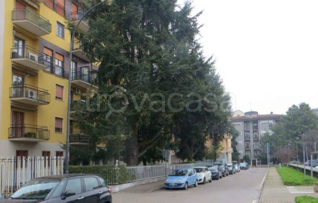 appartamento in vendita a Cologno Monzese