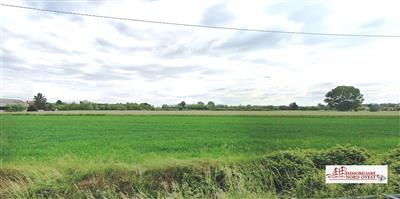 terreno agricolo in vendita a Corbetta