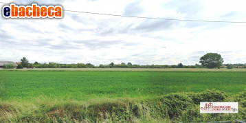 terreno agricolo in vendita a Corbetta